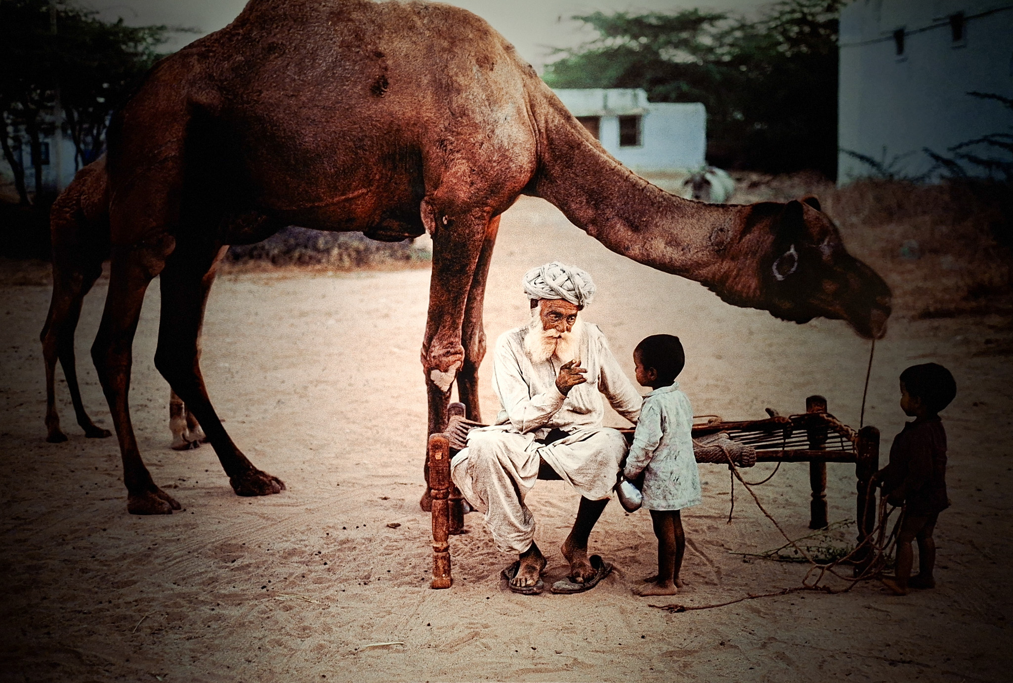 Móvil 20260613 Steve McCurry 115